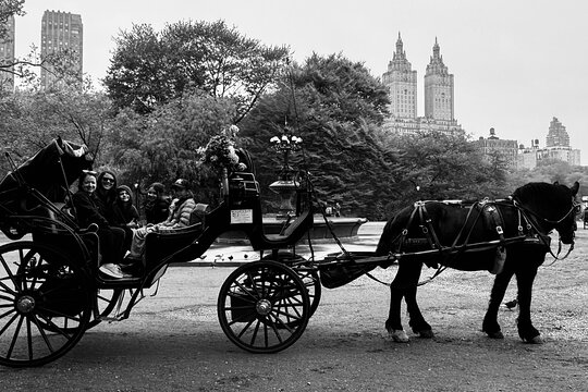 Tour image 11