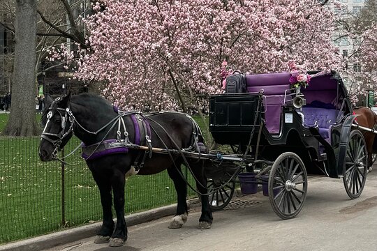 Tour image 13